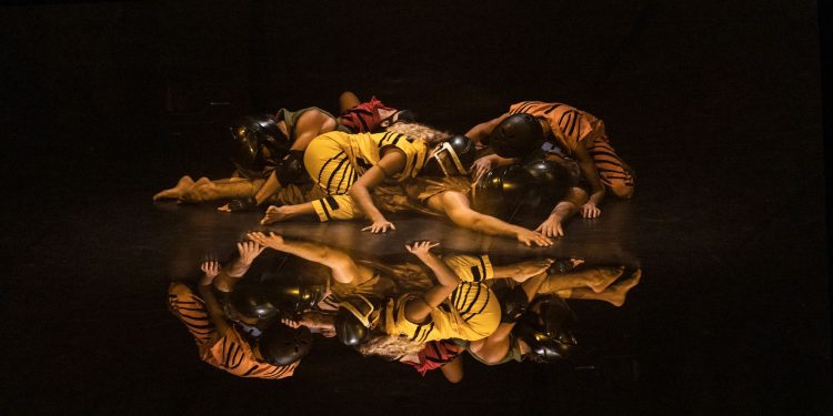 Palco Carioca apresenta companhias de dança a preços populares Palco Carioca apresenta companhias de dança a preços populares