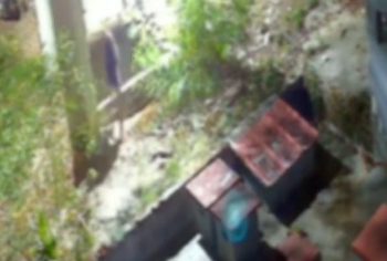 Adolescente consegue escapar após sofrer tortura