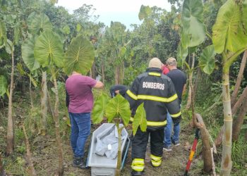 Jovem desaparecido é encontrado esquartejado em área de mata no município de Itacoatiara