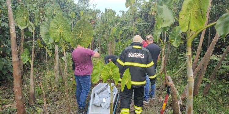 Jovem desaparecido é encontrado esquartejado em área de mata no município de Itacoatiara