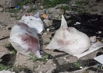 Jovem é esquartejado e abandonado em via pública no Centro de Manaus