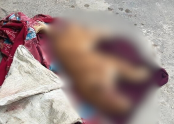 Briga de casal termina com cachorro morto em ação brutal