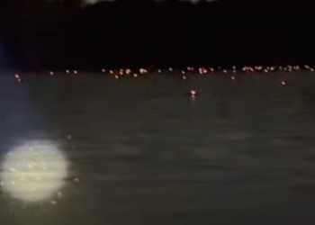 Olhos de jacarés iluminam noite durante a seca no interior do AM