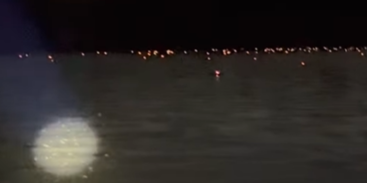 Olhos de jacarés iluminam noite durante a seca no interior do AM