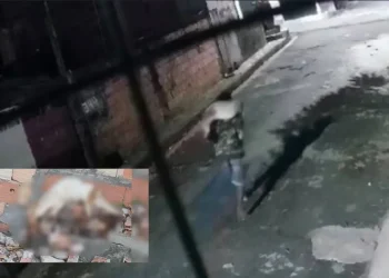 CRUELDADE! Homem mata, esquarteja e abandona cachorro em rua