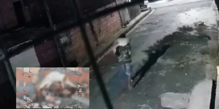 CRUELDADE! Homem mata, esquarteja e abandona cachorro em rua