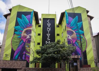 Artista amazonense estampa símbolo de luta pela preservação da Amazônia em obra visual em SP