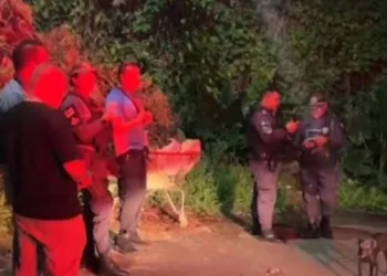 Corpo de homem é encontrado dentro de um carrinho de supermercado