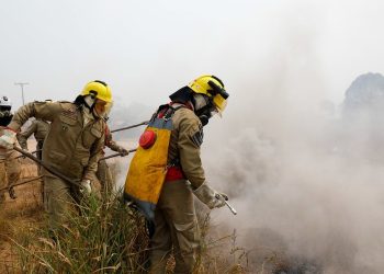 Governo do Amazonas divulga boletim sobre a estiagem no estado