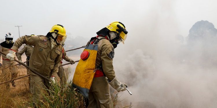 Governo do Amazonas divulga boletim sobre a estiagem no estado