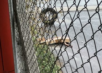 Homem é encontrado morto em avenida após queda de barranco