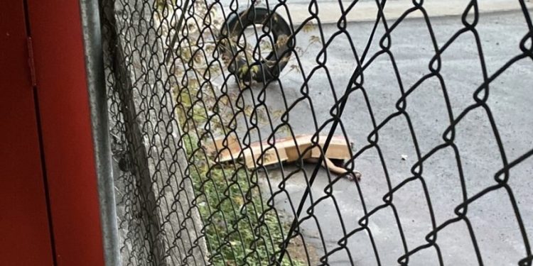 Homem é encontrado morto em avenida após queda de barranco