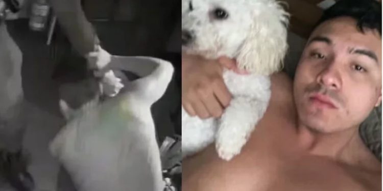 Estudante de medicina é baleado por policiais em abordagem violenta e controversa; veja o vídeo