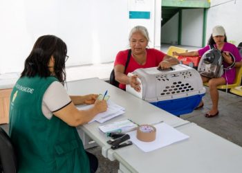 Prefeitura abre agendamento de castração para cães e gatos na sexta-feira (29)