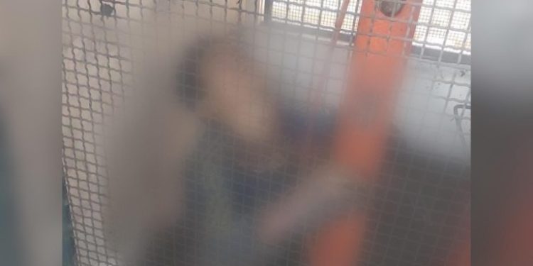 Homem morre eletrocutado ao tentar furtar fiação de escola