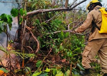 Corpo de Bombeiros combate incêndio em área de vegetação