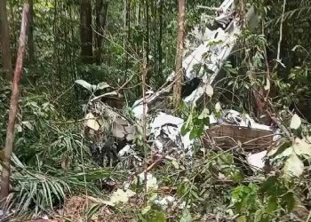 Destroços de avião que caiu em Manicoré são encontrados em floresta