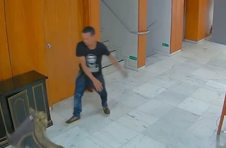 Reprodução/ TV Brasil Frame de vídeo de câmera de segurança mostrando vândalo em ação no Palácio do Planalto