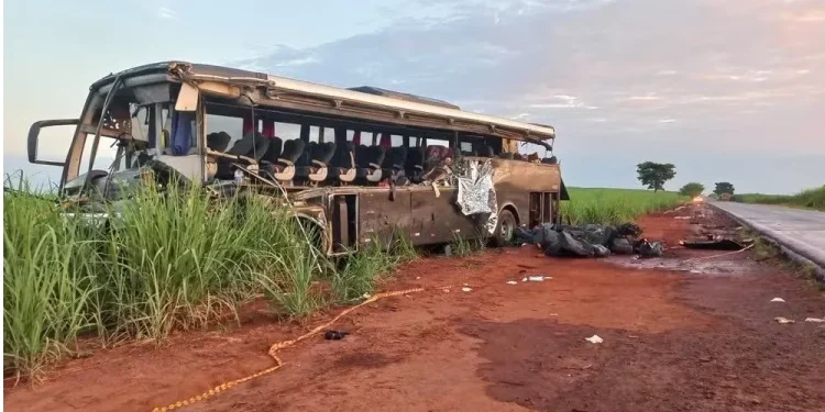Acidente entre ônibus e caminhão causa 12 mortes