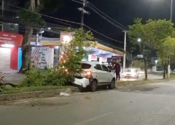 Motorista dorme ao volante e colide carro em árvore