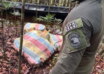 Polícia apreende carga de maconha avaliada em R$ 20 milhões no AM