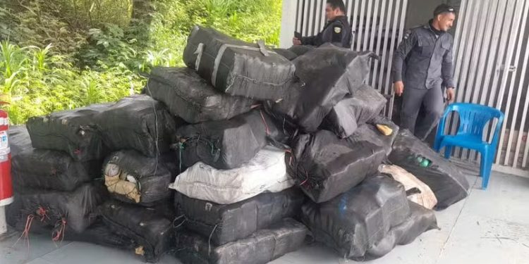 PM apreende quase 2 toneladas de drogas após confronto com criminosos no AM