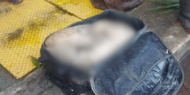 Corpo esquartejado é encontrado dentro de mala em igarapé de Manaus