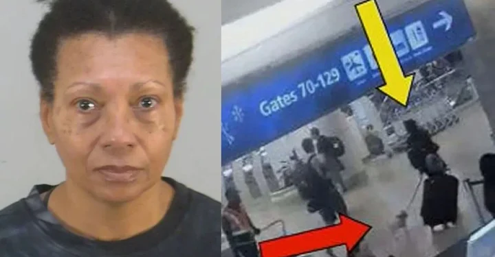 Mulher é presa por matar cão em banheiro de aeroporto