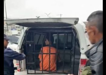 Homem é preso por matar cachorro com golpes de faca