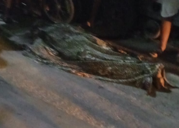 Homem é executado com 9 tiros na comunidade Vale do Sinai