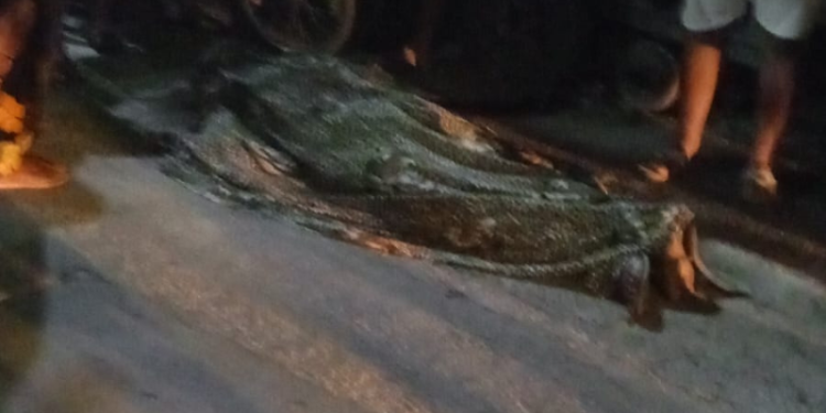 Homem é executado com 9 tiros na comunidade Vale do Sinai