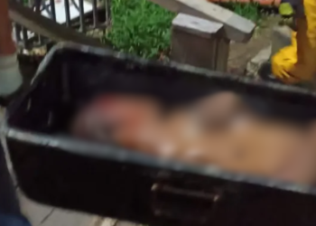 Corpo de homem é jogado em igarapé após agressão com pauladas