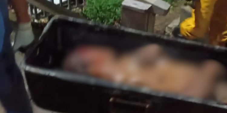 Corpo de homem é jogado em igarapé após agressão com pauladas