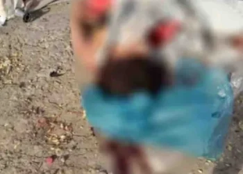 Mulher é encontrada morta e enrolada em lona