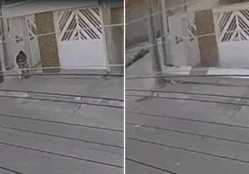 Marquise de casa desaba e mata mulher de 32 anos; veja vídeo