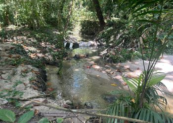 Corpo é encontrado boiando em igarapé no bairro Adrianópolis 