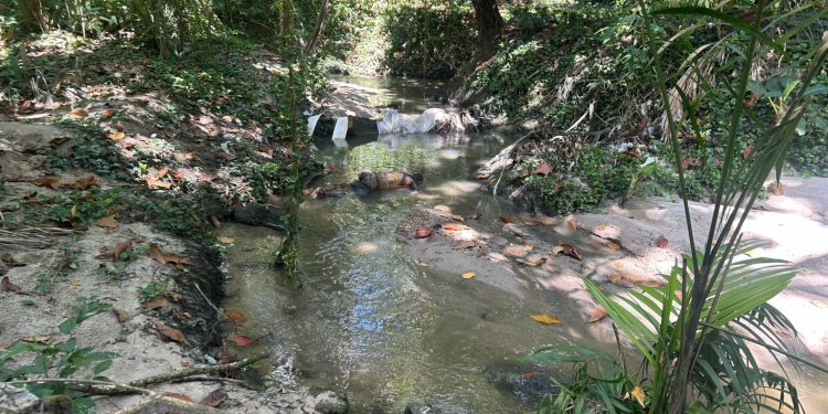Corpo é encontrado boiando em igarapé no bairro Adrianópolis 