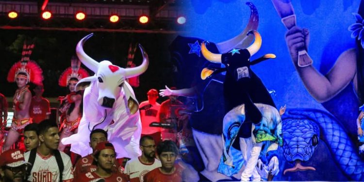 Arena Planeta Boi 2025 ganha estrutura ampliada e cenografia inédita