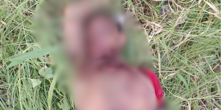 Corpo de homem é encontrado com sinais de tortura em ramal no AM