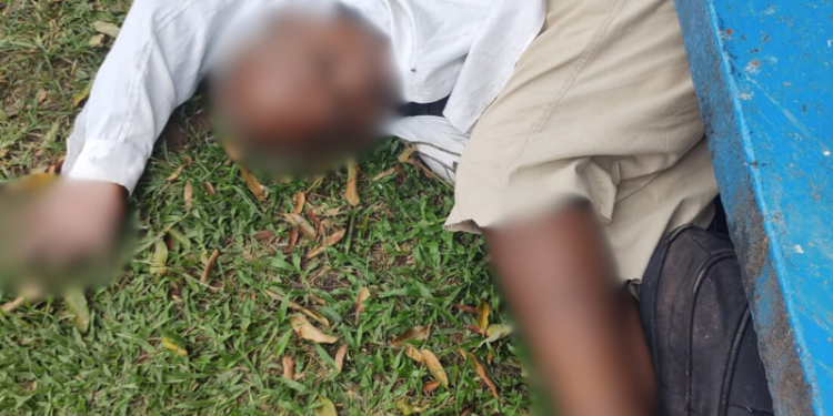 Idoso é encontrado morto em banco de praça no AM Idoso é encontrado morto em banco de praça no AM
