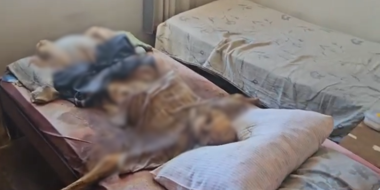 Irmãos mantinham cadáver de pai por 6 meses em casa; veja vídeo