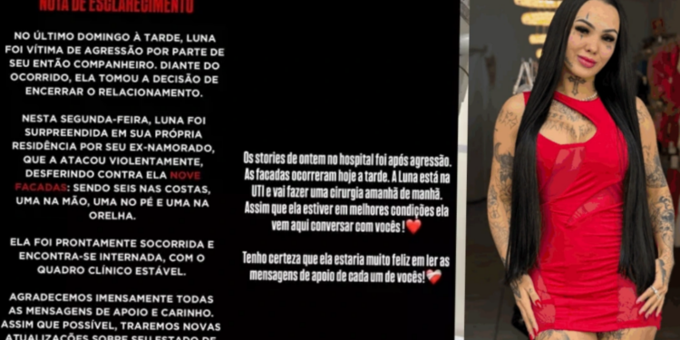 Vídeo: Influenciadora Luna Abrahão é esfaqueada nove vezes pelo companheiro em São Paulo