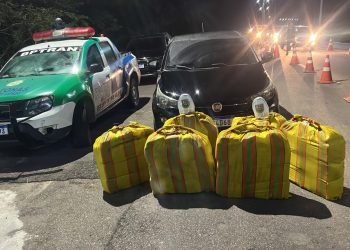 Motorista é preso com 240 kg de maconha durante abordagem de trânsito