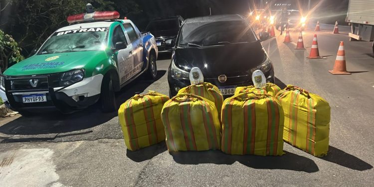 Motorista é preso com 240 kg de maconha durante abordagem de trânsito