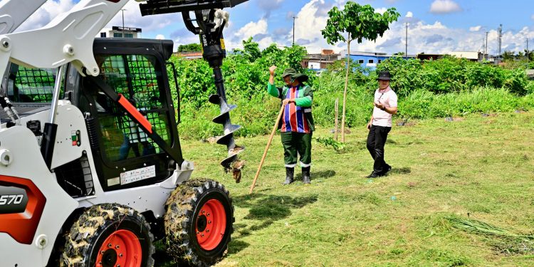 Prefeito David Almeida avança no reflorestamento urbano com mecanização da arborização em Manaus