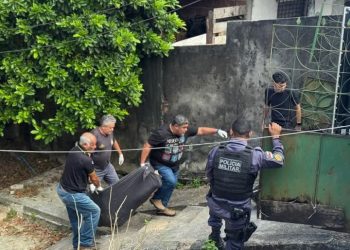 Idoso morre ao cair de árvore na zona Leste de Manaus