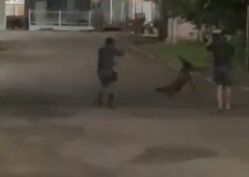 Homem morre após atacar policiais com faca durante festa religiosa