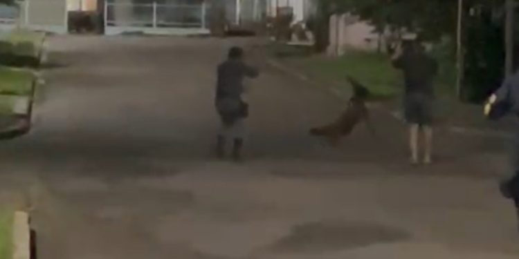 Homem morre após atacar policiais com faca durante festa religiosa