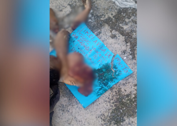 Partes de corpo são encontrados ao lado de cartaz: “Mexeu com a tropa”