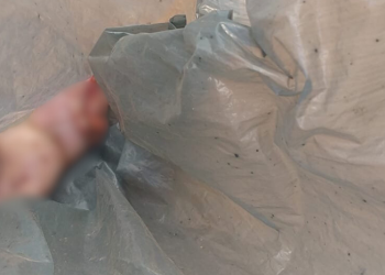 Corpo de bebê é encontrado mutilado em lixeira